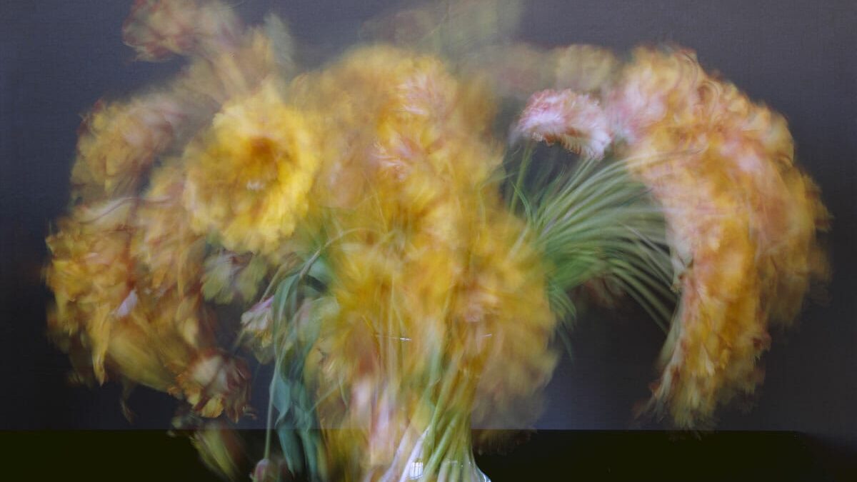 Michael Wesely: Stilleben | Galerie Esther Woerdehoff | Paris