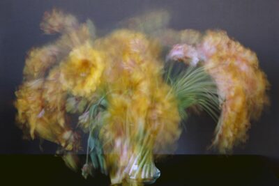 Michael Wesely: Stilleben | Galerie Esther Woerdehoff | Paris