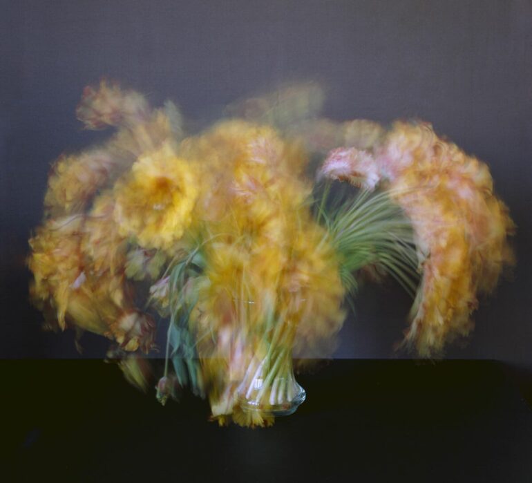 Michael Wesely: Stilleben | Galerie Esther Woerdehoff | Paris