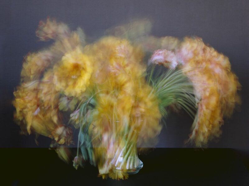 Michael Wesely: Stilleben | Galerie Esther Woerdehoff | Paris