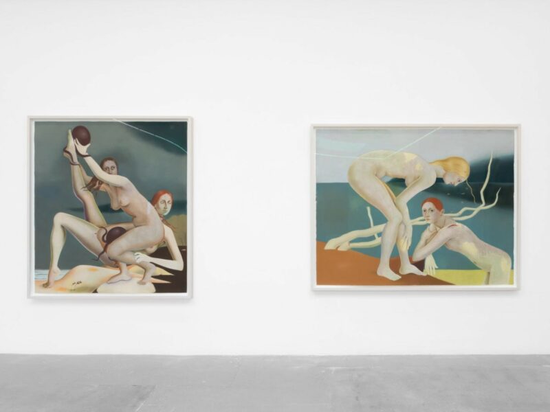 Sara Anstis: The Petal and the Wrist | Various Small Fires, Los Angeles