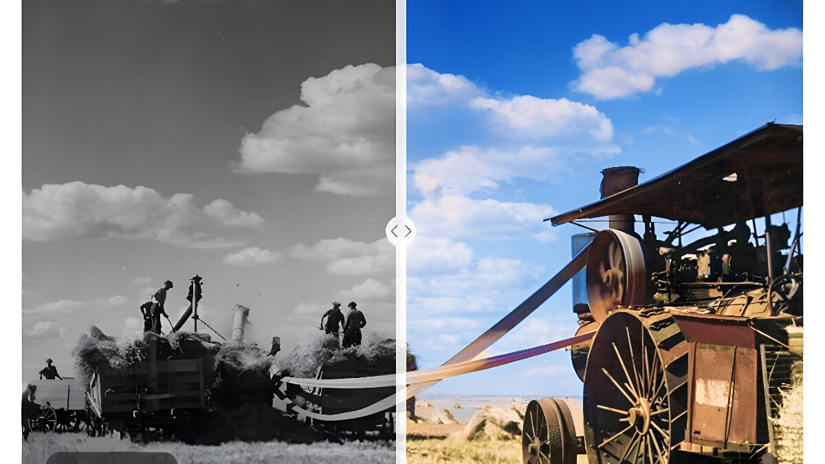 Reviving Memories: Unlocking the Magic of Online Old Photo Restoration Tools