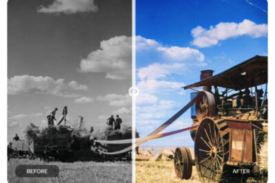 Reviving Memories: Unlocking the Magic of Online Old Photo Restoration Tools