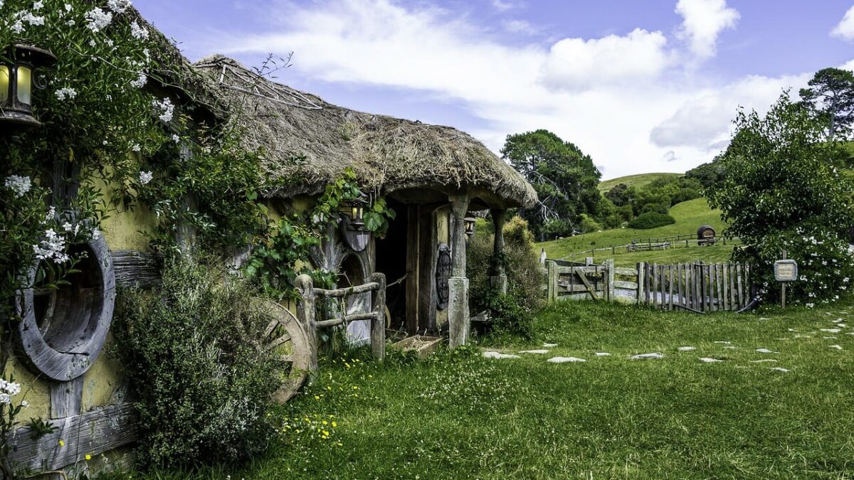 How iGaming Rose to The Top 5 Entertainment Forms for Kiwis
