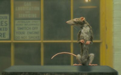«El desratizador» (2023) | Un cortometraje de Wes Anderson
