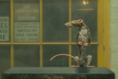 “The Ratcatcher” (2023) | A Short Film by Wes Anderson
