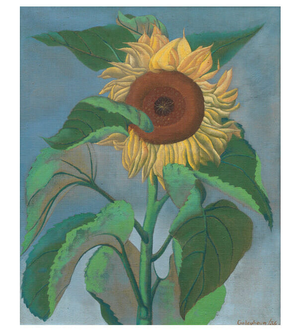 Ithell Colquhoun Blazes A Trail In Bonhams Sale Of Modern British Women Artists