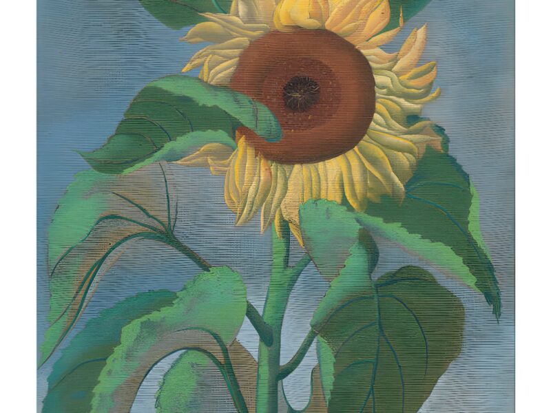 Ithell Colquhoun Blazes A Trail In Bonhams Sale Of Modern British Women Artists