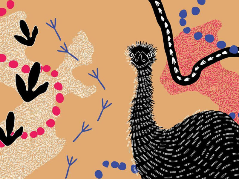 DanceRites returns to the Opera House Forecourt