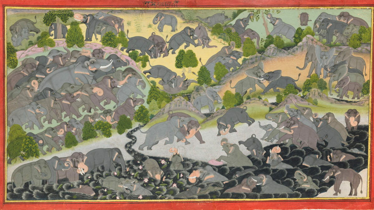 An Eye Enchanted: Indian Paintings from The Collection of Toby Falk