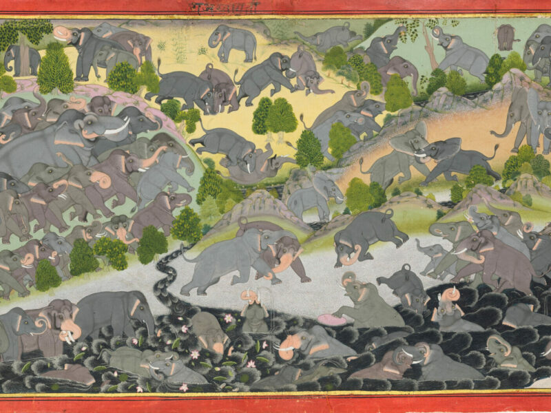 An Eye Enchanted: Indian Paintings from The Collection of Toby Falk