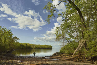 Andrew Moore: Whiskey Point and Other Tales – Yancey Richardson