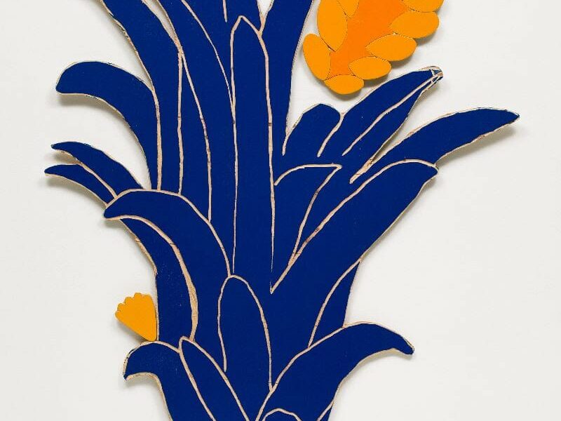 Santídio Pereira: Un horizon végétal | Xippas Paris