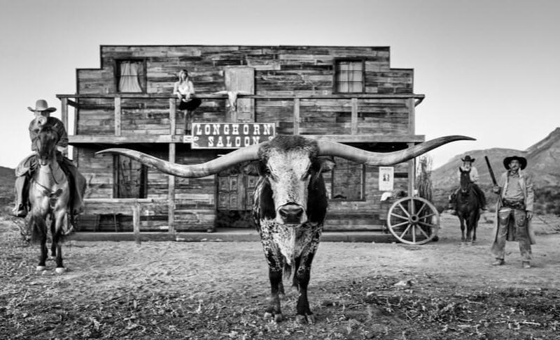 David Yarrow: Dallas 2023 | Samuel Lynne Galleries