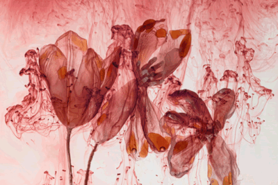 Kathrin Linkersdorff: Fairies – Yossi Milo, New York