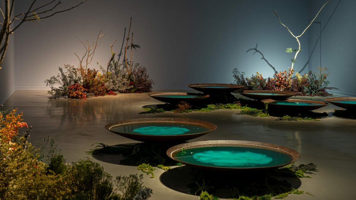 Una instalación mutante para observar el tránsito del tiempo: Bianca Bondi cierra el ciclo ‘Reivindicar la resiliencia’