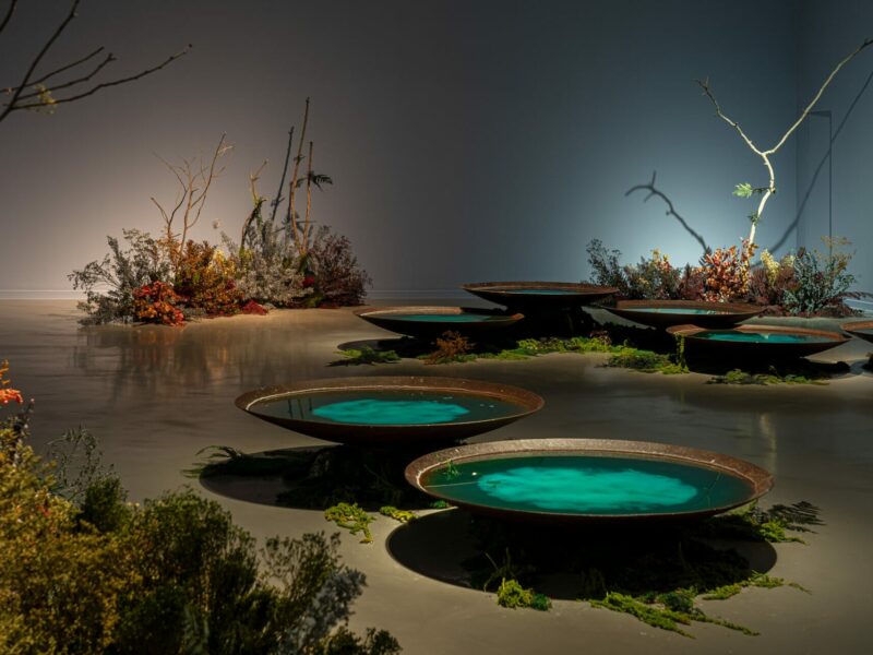 Una instalación mutante para observar el tránsito del tiempo: Bianca Bondi cierra el ciclo ‘Reivindicar la resiliencia’