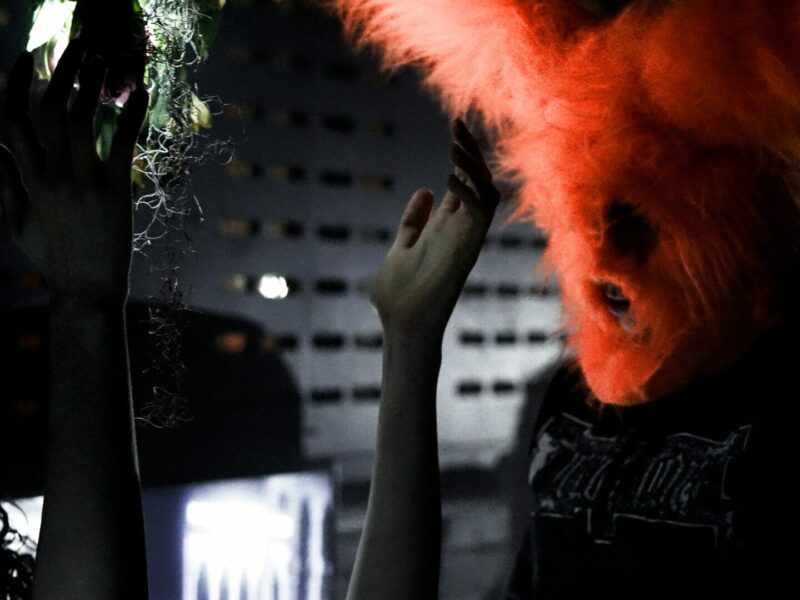 KW Digital: Poetics of Encryption | KW Institute for Contemporary Art | Berlin