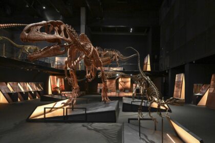 Dinosaurios de la Patagonia