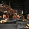 Dinosaurs from Patagonia | Exhibition at CosmoCaixa Science Museum | Barcelona