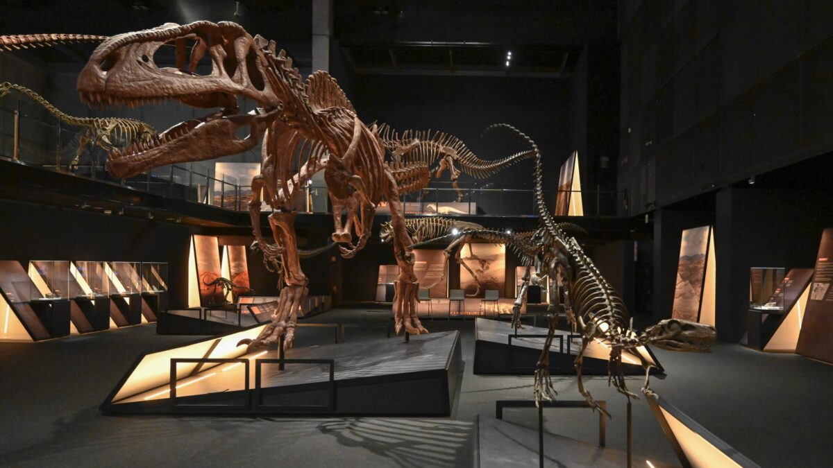 Dinosaurios de la Patagonia | Exposición en el Museo de la Ciencia CosmoCaixa | Barcelona