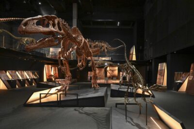 Dinosaurios de la Patagonia | Exposición en el Museo de la Ciencia CosmoCaixa | Barcelona
