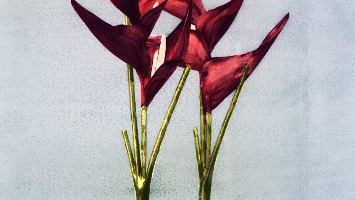 Flora Industrialis, el nuevo trabajo de Vik Muniz | MUN Museo Universidad de Navarra, Pamplona