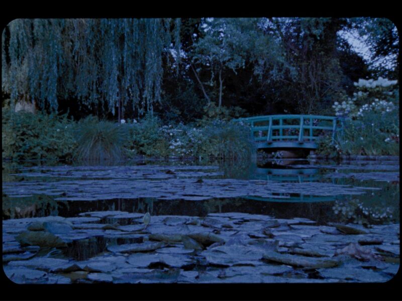 Marine Hugonnier: Informes de campo | La nueva exposición en el Museo Guggenheim Bilbao