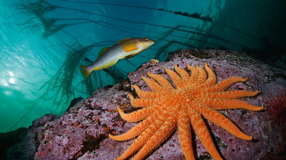 Colores del mundo | Cuenca descubre el significado del color en el mundo en una exposición de fotografías de National Geographic