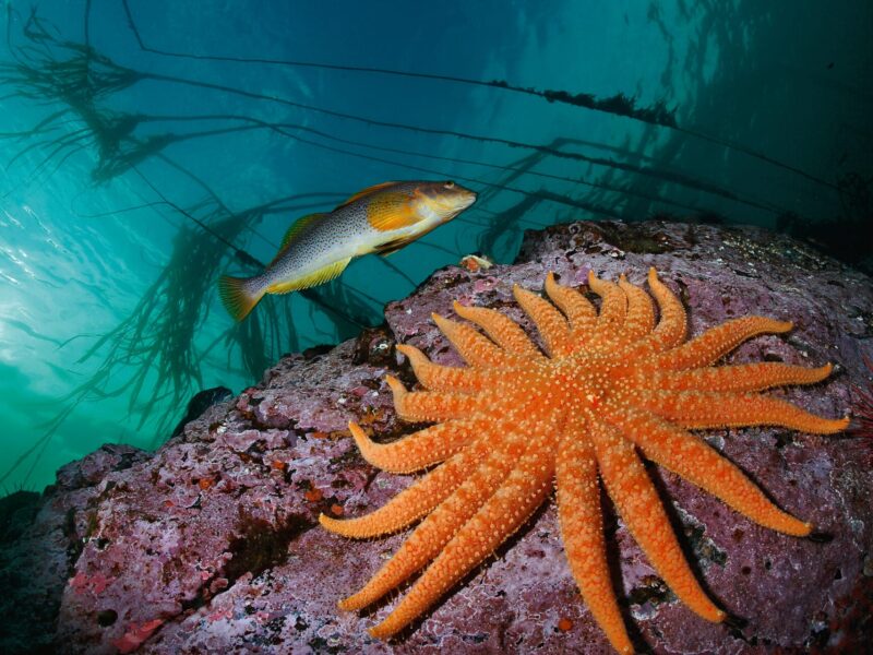Colores del mundo | Cuenca descubre el significado del color en el mundo en una exposición de fotografías de National Geographic