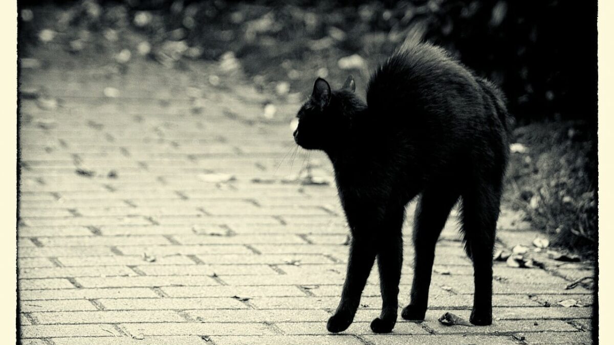 13일의 금요일 미신의 기묘한 기원