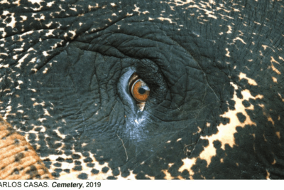 La relación del ser humano con la naturaleza, argumento central del nuevo ciclo de cine del Reina Sofía | Madrid