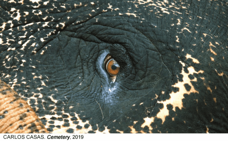 La relación del ser humano con la naturaleza, argumento central del nuevo ciclo de cine del Reina Sofía | Madrid