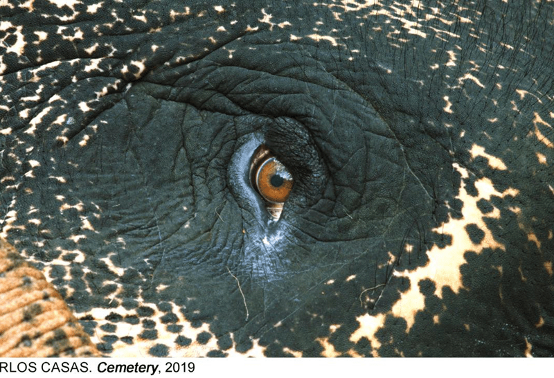 La relación del ser humano con la naturaleza, argumento central del nuevo ciclo de cine del Reina Sofía | Madrid