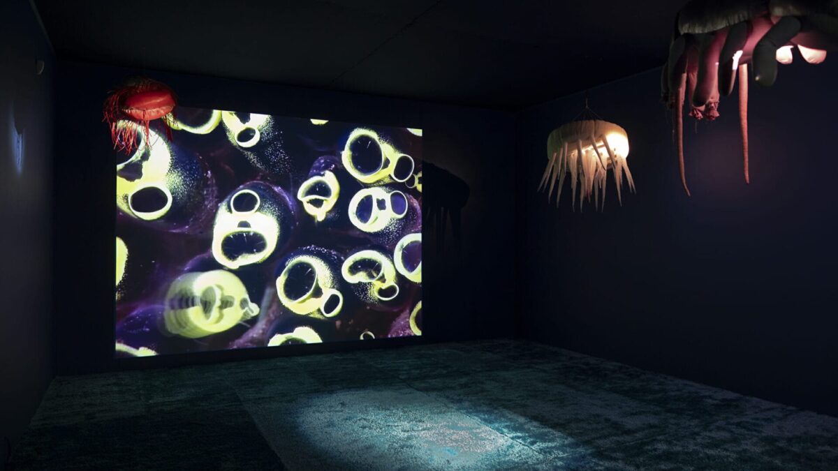 Inteligencia líquida | Museo Nacional Thyssen-Bornemisza | Madrid