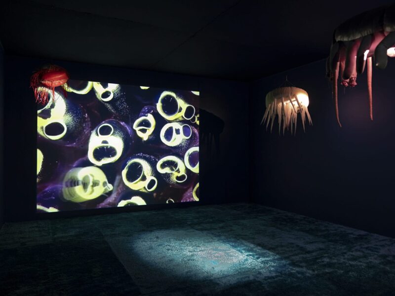 Inteligencia líquida | Museo Nacional Thyssen-Bornemisza | Madrid