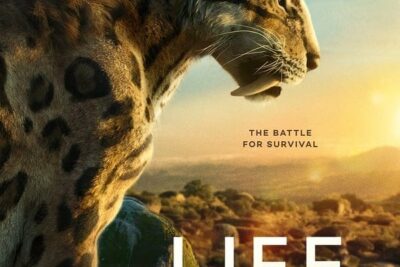 “지구 위의 생명” (2023) | Netflix 다큐멘터리 시리즈: 생명체의 역사에 대한 완전한 재구성. 놀랄 만큼 멋지죠!