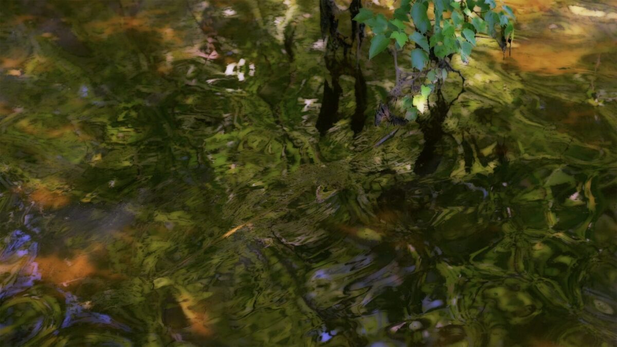 Peter Campus: “myoptiks” | CARLOCINQUE GALLERY, Milano