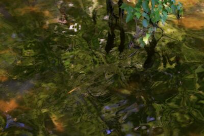 Peter Campus: “myoptiks” | CARLOCINQUE GALLERY, Milano