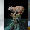 Three-Artist Exhibition: Bound by Nature | Corey Helford Gallery | Los Angeles