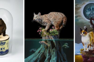 Three-Artist Exhibition: Bound by Nature | Corey Helford Gallery | Los Angeles