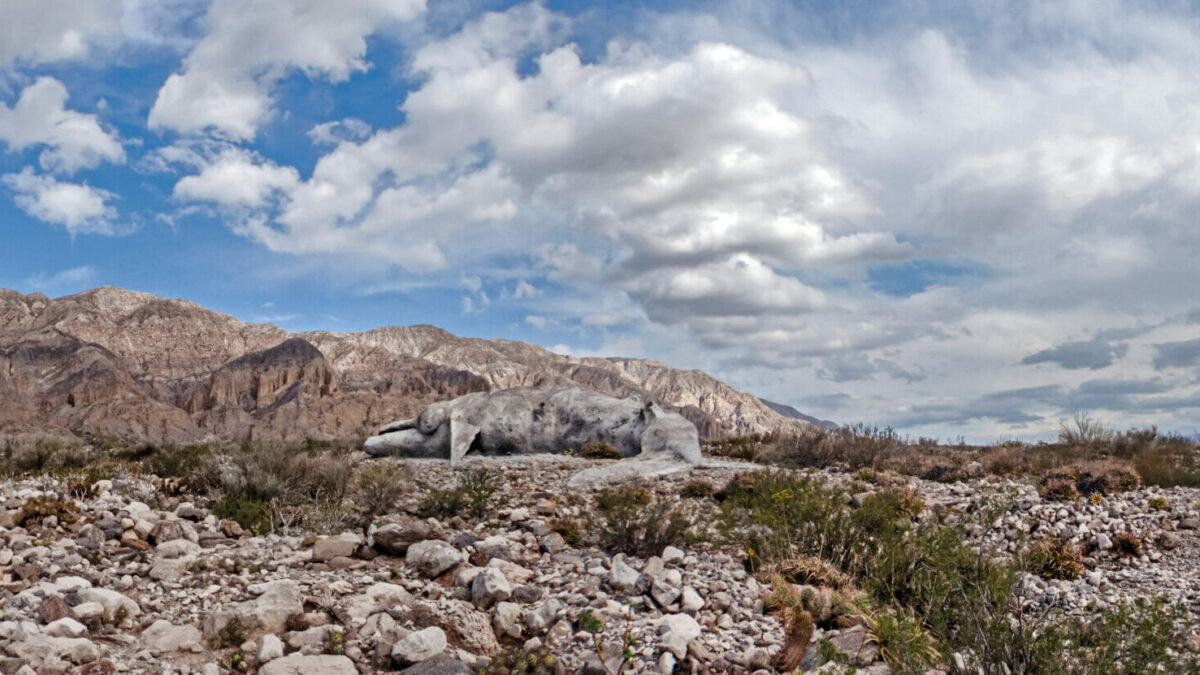 Infinite Ecologies Marathon: The Prelude | Serpentine Galleries