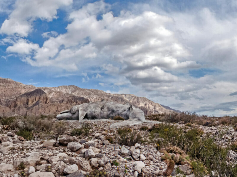 Infinite Ecologies Marathon: The Prelude | Serpentine Galleries