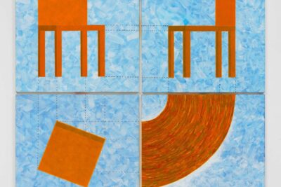 Cildo Meireles at Galerie Lelong & Co. New York