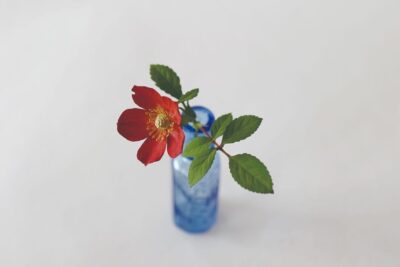 YOSHIHIRO SUDA | Exposición individual en la Galería Elvira González | Madrid