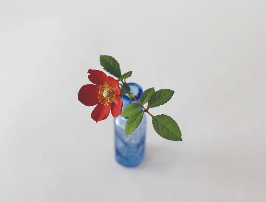 YOSHIHIRO SUDA | Exposición individual en la Galería Elvira González | Madrid