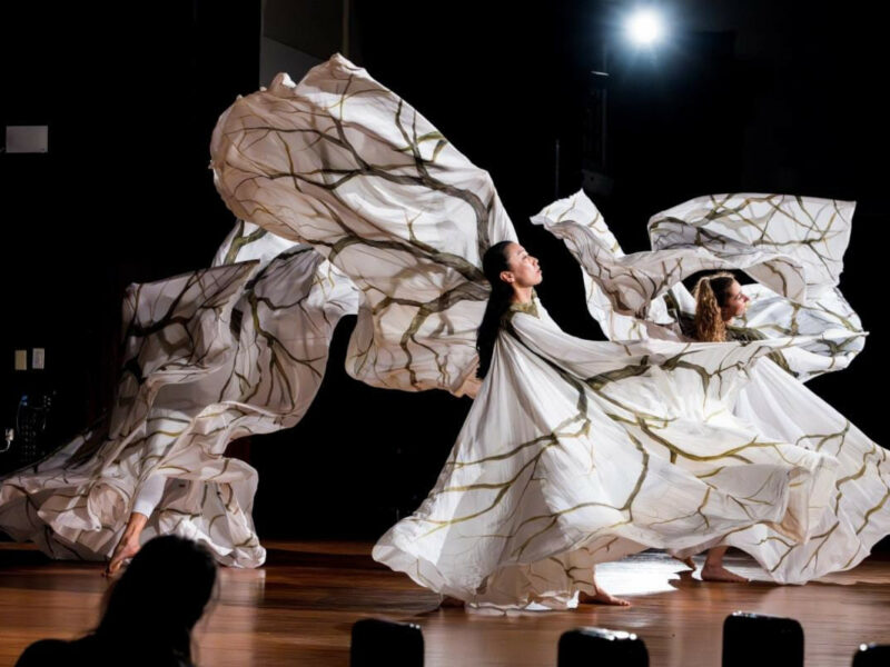 World Premiere of Arbor and Other Works by Jody Sperling and Time Lapse Dance Ensemble Featuring Musicians from The MET Orchestra | November 17th | New York