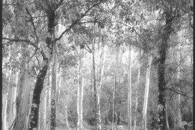 In occasione di PhotoVogue Festival | Domani, martedì 14 novembre 2021, ore 18.30 | Inaugurazione della mostra: “Beginnings: Elena Aya Bundurakis, Mark Dorf, Daniele Marzorati, Marit Wolters” | Milano, NONOSTANTE MARRAS