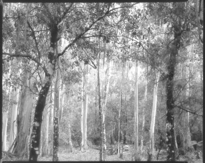 In occasione di PhotoVogue Festival | Domani, martedì 14 novembre 2021, ore 18.30 | Inaugurazione della mostra: “Beginnings: Elena Aya Bundurakis, Mark Dorf, Daniele Marzorati, Marit Wolters” | Milano, NONOSTANTE MARRAS