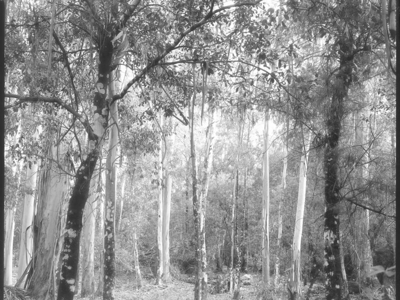 In occasione di PhotoVogue Festival | Domani, martedì 14 novembre 2021, ore 18.30 | Inaugurazione della mostra: “Beginnings: Elena Aya Bundurakis, Mark Dorf, Daniele Marzorati, Marit Wolters” | Milano, NONOSTANTE MARRAS